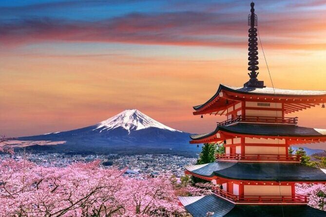 Tokyo To Mount Fuji Private English Guided Day Tour - Stop 1: Mt. Fuji Subaru Line 5th Station for Close Views (If Weather Plays Along)
