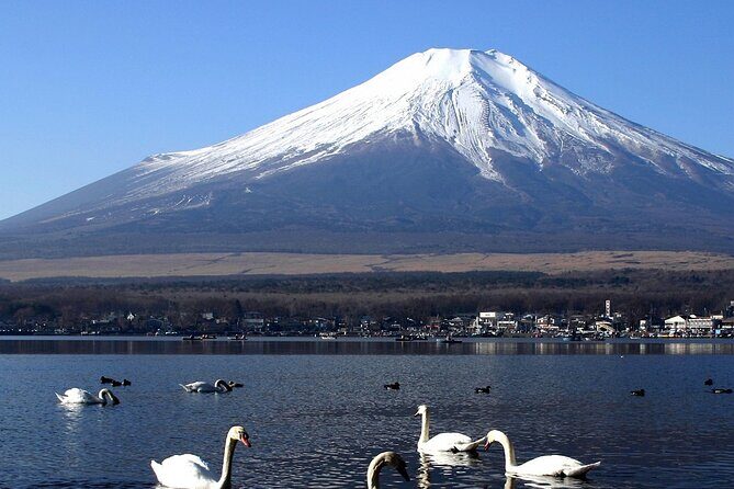 Tokyo To Mount Fuji Private English Guided Day Tour - Stop 3: Oshino Hakkai for the Snowmelt-Fed Ponds