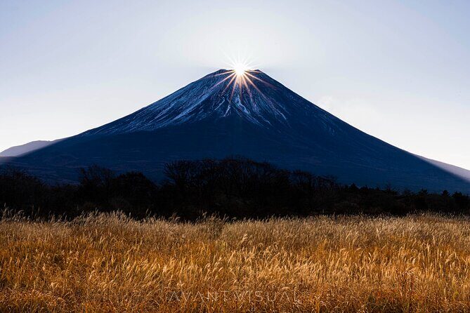 Tokyo To Mount Fuji Private English Guided Day Tour - Tokyo Pickup, Private Vehicle, and How the 10 Hours Work