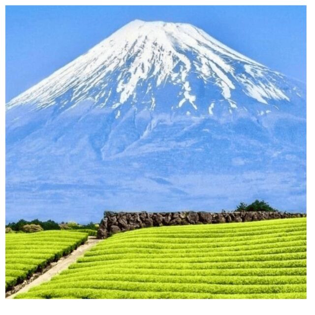 “Tokyo to Mt. Fuji & Hakone: Private Customizable Day Trip” - Key Highlights You’ll Feel During the Day