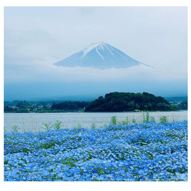 “Tokyo to Mt. Fuji & Hakone: Private Customizable Day Trip” - Gotemba Premium Outlets: A Controlled Shopping Detour