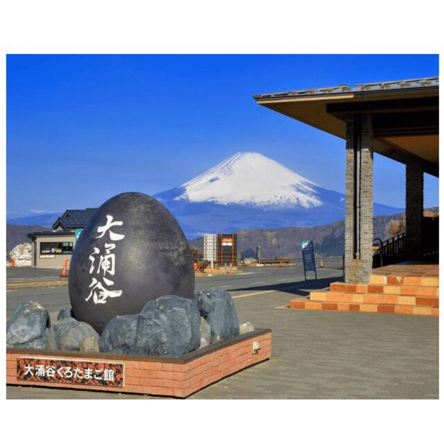 “Tokyo to Mt. Fuji & Hakone: Private Customizable Day Trip” - Fuji Viewpoints: Arakurayama Sengen Park to Chureito Pagoda
