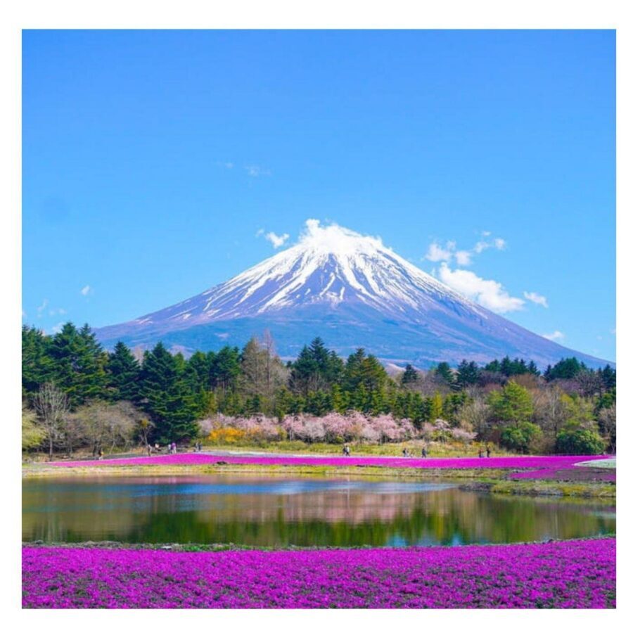 “Tokyo to Mt. Fuji & Hakone: Private Customizable Day Trip” - Mt. Fuji 5th Station: The Closest Summit-Level Experience