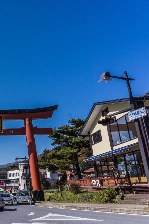 Tokyo to Nikko: Exclusive Private Day Trip - Private itinerary matching: how guides like Steven and Gabriel change the day