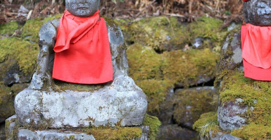 Tokyo to Nikko: Exclusive Private Day Trip - Getting to Nikkō on the Tobu Limited Express (and what it buys you)