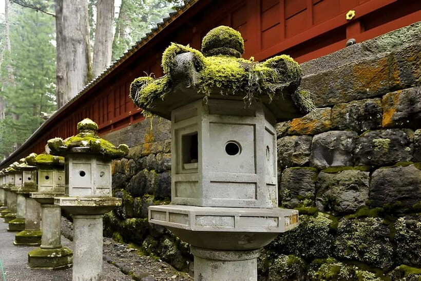 Tokyo to Nikko Private Customizable Full Day Tour W/D Driver - Kegon Falls and Nikkō National Park photo time