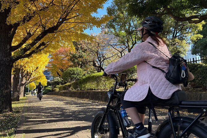 Tokyo Top Highlights 3h Guided E-bike Tour - Group size, traffic reality, and safety habits that keep the ride pleasant