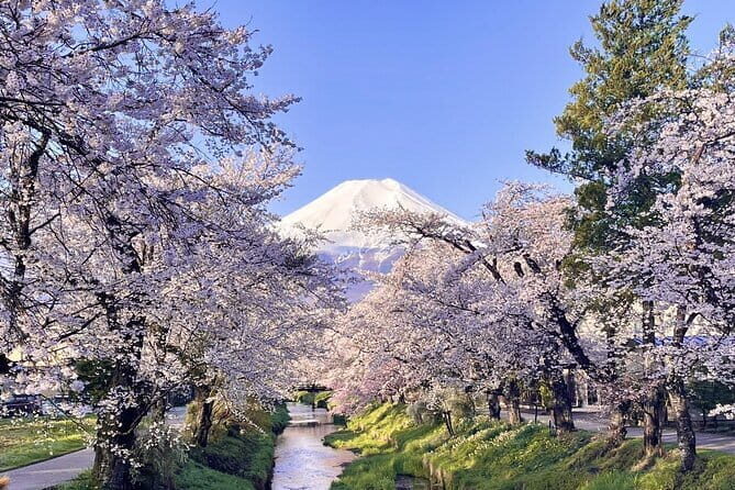 Tokyo: Toshogu Shrine (Nikko Toshogu), Lake Chuzenji, Kegon Falls - Kegon Falls: the 99m drop and the big waterfall feel