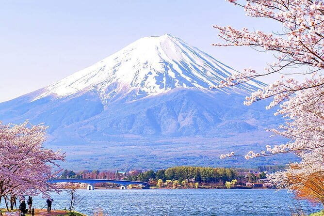 Tokyo: Toshogu Shrine (Nikko Toshogu), Lake Chuzenji, Kegon Falls - Who should book this Nikko day trip?