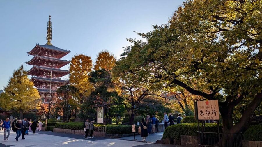 Tokyo: Tour Privado por Tokio en español - Key moments you will actually care about