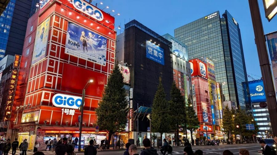 Tokyo: Tour Privado por Tokio en español - Ueno Park: cherry blossoms, Sakura Avenue, and temples