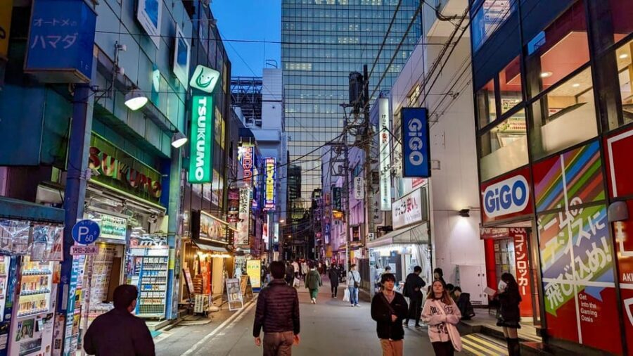 Tokyo: Tour Privado por Tokio en español - Akihabara: anime, manga, electronics, and maid café culture