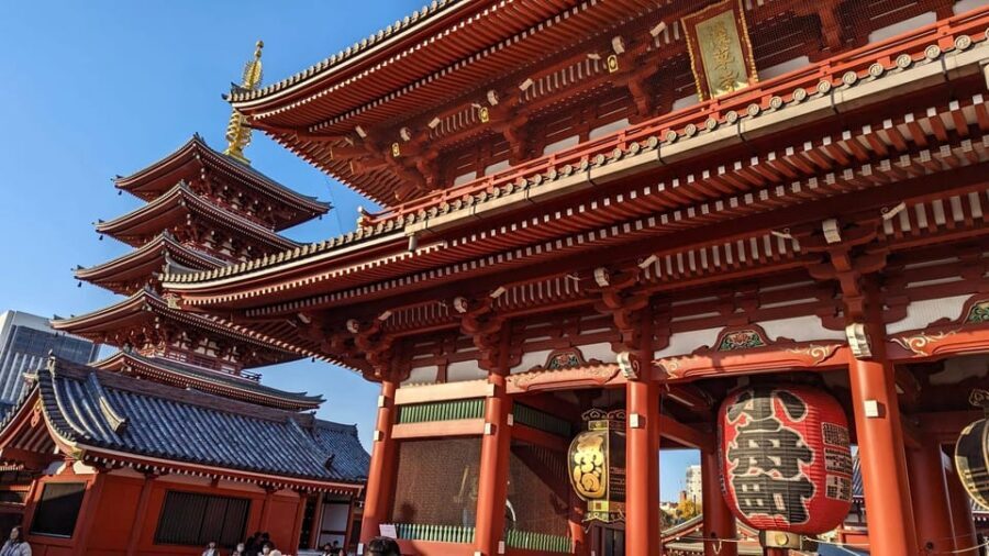 Tokyo: Tour Privado por Tokio en español - Price and what you’re really paying for