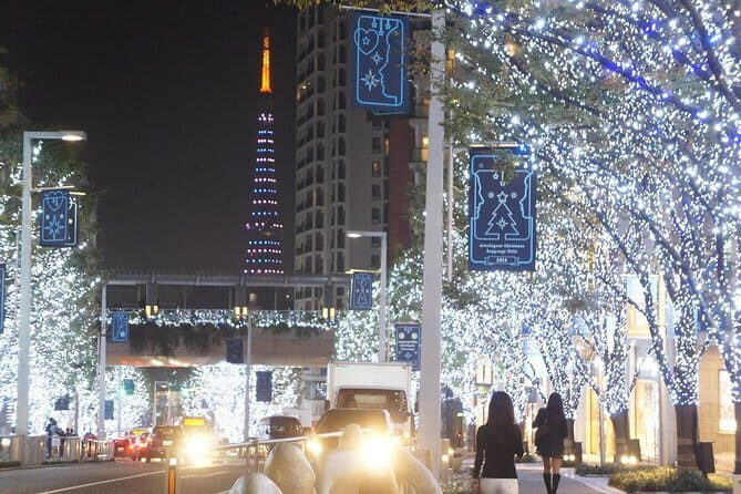 Tokyo Tower Admission Ticket - The Real-World Snag: Paper Voucher Acceptance at the Counter
