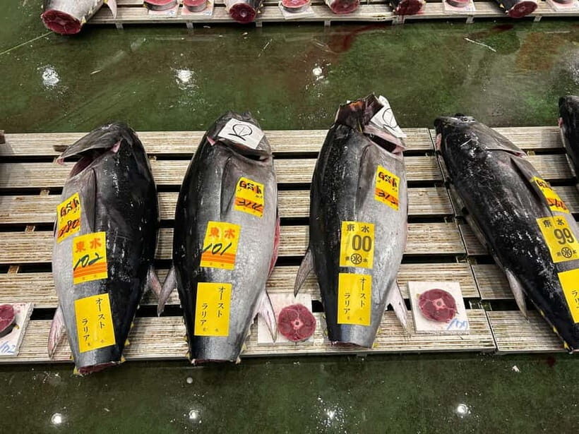 Tokyo Toyosu Tuna Auction + Breakfast (Sushi Dai or Bentomi) - The Hand-Signal Moment: Te-jirushi and the Logic Behind the Noise