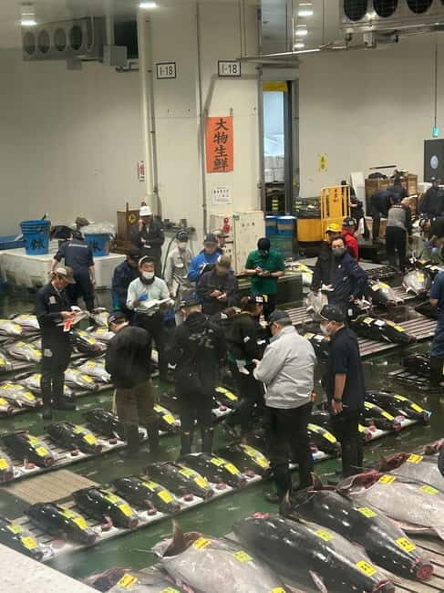 Tokyo Toyosu Tuna Auction + Breakfast (Sushi Dai or Bentomi) - Price and Value: Is $141 Worth It for This Tokyo Morning?