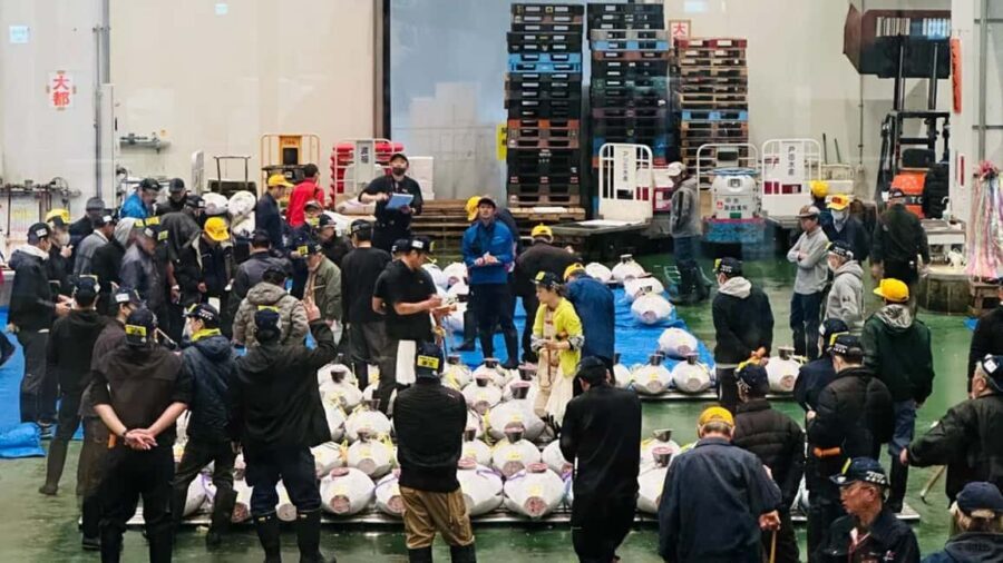 Tokyo: Toyosu Tuna Auction &Tsukiji Market Gourmet Adventure - Guides make it: the practical difference between a good and a great morning