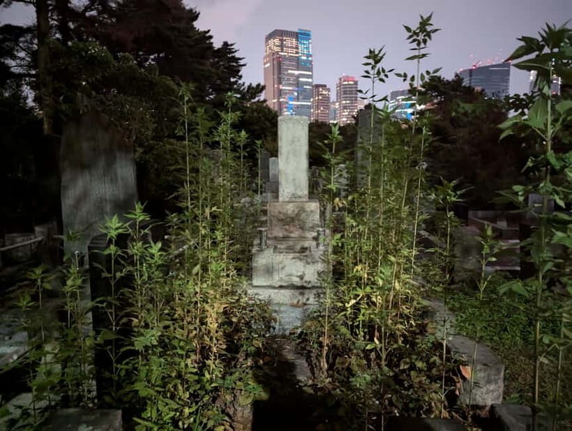 Tokyo: True Crime And Ghost Stories Tour - Aoyama Cemetery: Japanese ghost stories with Hachiko’s grave as an emotional anchor