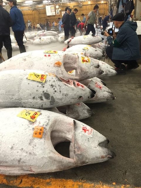 Tokyo: Tsukiji Fish Market Foodie and Educational Tour - Value for your time: a 2-hour Tsukiji tour that actually teaches