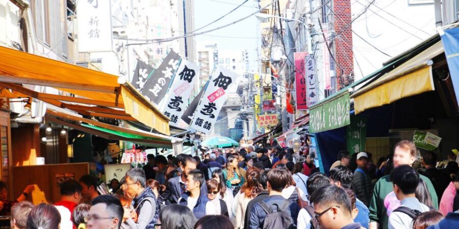 Tokyo Tsukiji Food & Culture Private Tour Licensed Guide - Public Transport Support and the Pace of Walking Days