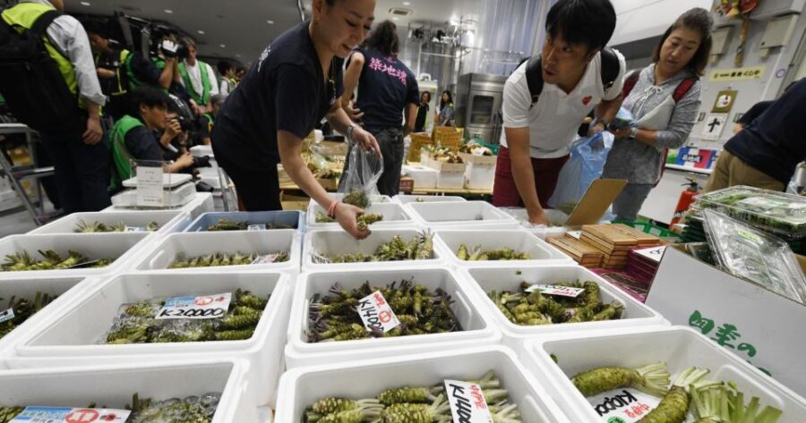 Tokyo Tsukiji Food & Culture Private Tour Licensed Guide - What the Best Guides Do: Tastings, Patience, and Real Answers
