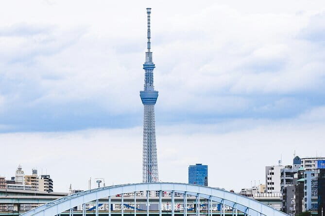 Tokyo Unlocked: A Private Day of Culture, Cuisine & City Secrets - A private driver turns Tokyo into a personal itinerary