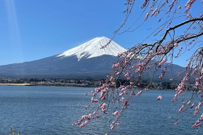 Tokyo Unlocked: A Private Day of Culture, Cuisine & City Secrets - Should You book this private Tokyo day?