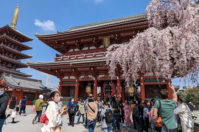 Tokyo VIP Guided Private Car Tour with Optional Airport Transfer - Key Points Worth Knowing Before You Go