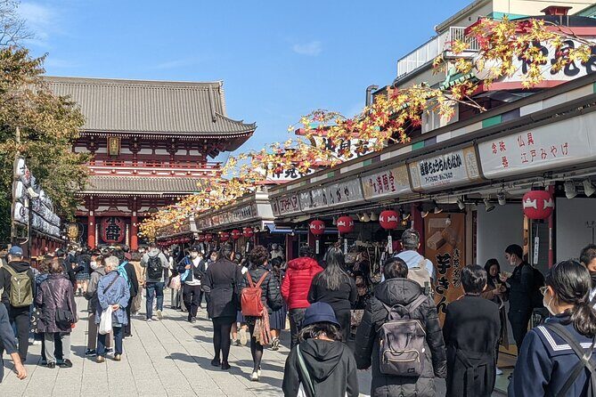 Tokyo VIP Guided Private Car Tour with Optional Airport Transfer - A Private Minivan Day That Actually Solves Tokyo’s Transit Problem