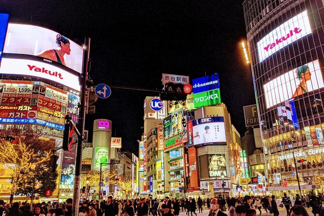Tokyo VIP Guided Private Car Tour with Optional Airport Transfer - Price and Value: What You’re Really Paying For (And When It’s a Bargain)