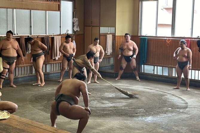 Tokyo: Visit Sumo Morning Practice with English Guide - Key highlights worth your morning