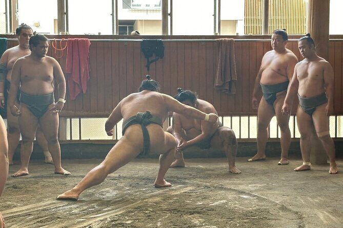 Tokyo: Visit Sumo Morning Practice with English Guide - Inside Takasagobeya: why this morning session is special