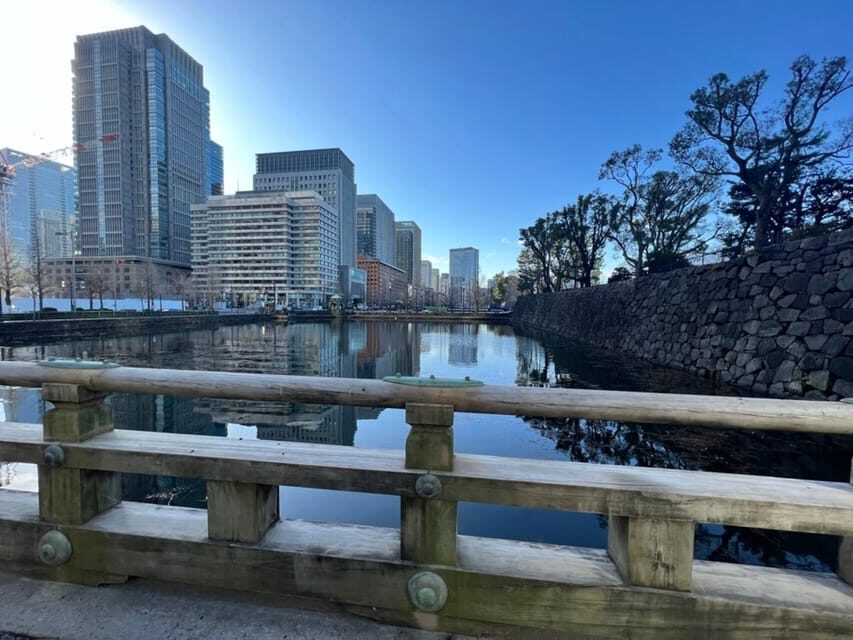 Tokyo walking tour around Imperial Palace and Tokyo Station - Who this tour suits best (and who should think twice)