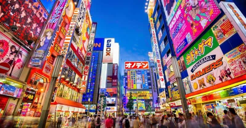 Tokyo: Winter Illuminations Private Tour with a Local - Price and what you actually get for $81