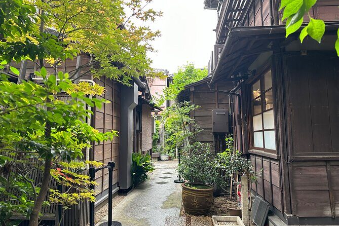 Tokyo : Yanaka and Nezu-Old Traditional Town Cultural Experience - Yanaka Cemetery and the pause that makes the whole route feel human