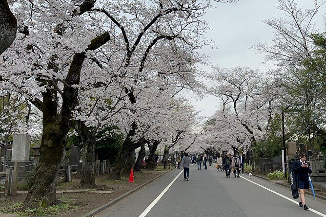 Tokyo : Yanaka and Nezu-Old Traditional Town Cultural Experience - Price and value: what $39.41 buys you (and where your money goes)