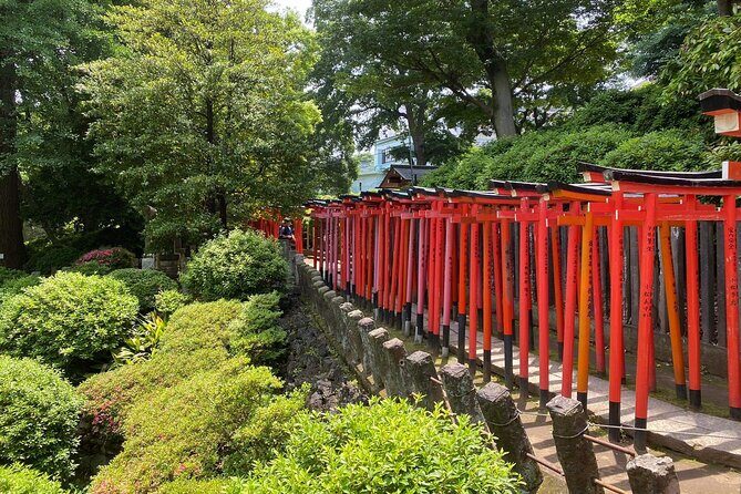 Tokyo : Yanaka and Nezu-Old Traditional Town Cultural Experience - Stop-by-stop: from Nezu Shrine torii path to Tennoji Temple calm