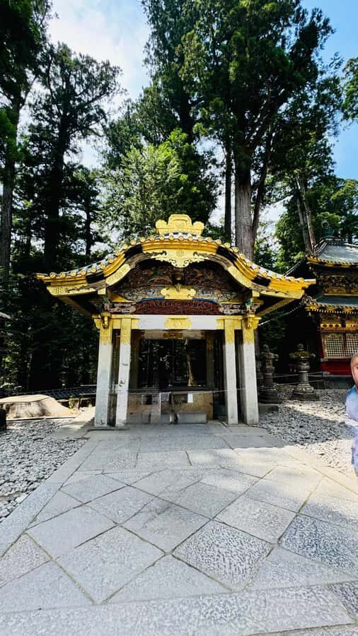 Tokyo/yokohama: Full Day Nikko Private Sightseeing Trip - Key Points You’ll Care About