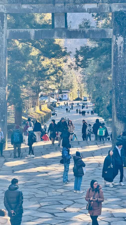 Tokyo/yokohama: Full Day Nikko Private Sightseeing Trip - Why This Private Day Beats Open Transport for Nikko