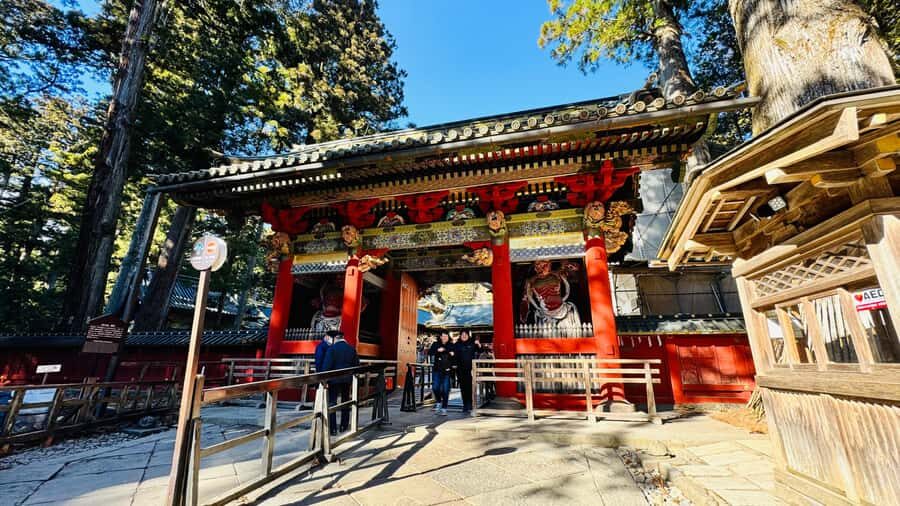 Tokyo/yokohama: Full Day Nikko Private Sightseeing Trip - Kegon Falls and Red Maples: Nature With Stage-Ready Timing