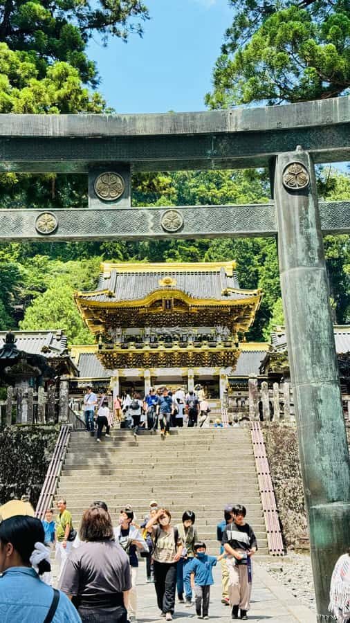 Tokyo/yokohama: Full Day Nikko Private Sightseeing Trip - Price and Value: $512 Per Group Up to Six
