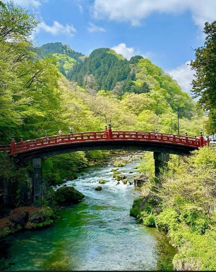 Tokyo/yokohama: Full Day Nikko Private Sightseeing Trip - What’s Included (and What You Bring) for a Smooth Day