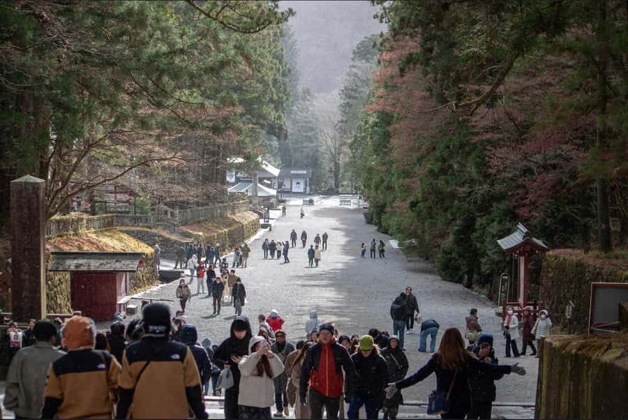 Tokyo/yokohama: Full Day Nikko Private Sightseeing Trip - Who Should Book This Nikko Private Trip?