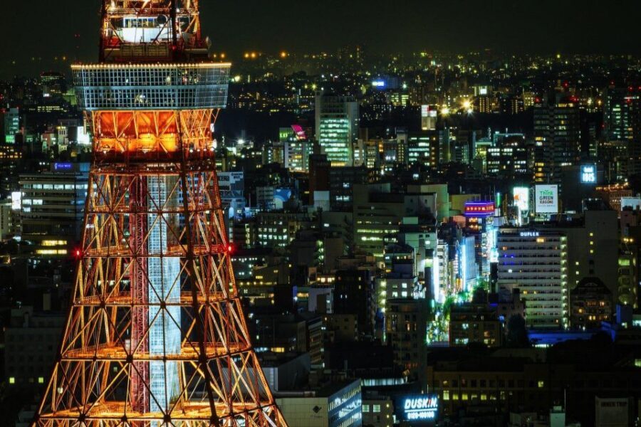 Tokyo:Cherry Blossom Mt Fuji & Shibazakura Festival Day Trip - Who this trip suits best (and who should skip it)