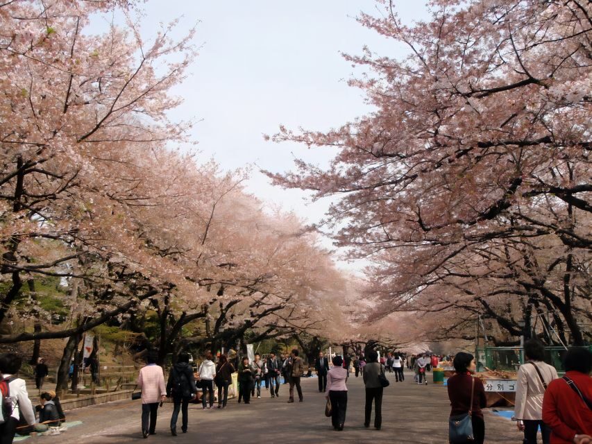 Tokyo:Cherry Blossom Mt Fuji & Shibazakura Festival Day Trip - The pace of a 10-hour day: what to expect on the road