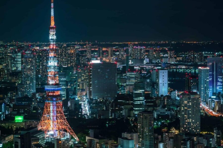 Tokyo:Cherry Blossom Mt Fuji & Shibazakura Festival Day Trip - Price and value: what $77 really buys you