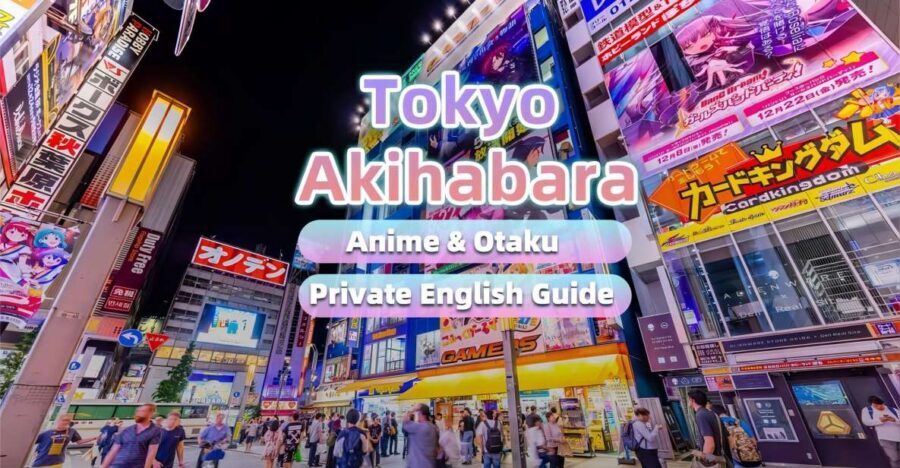 Tokyo:Cherry Blossom Mt Fuji & Shibazakura Festival Day Trip - Comfort, safety, and expectations around the driver-guide