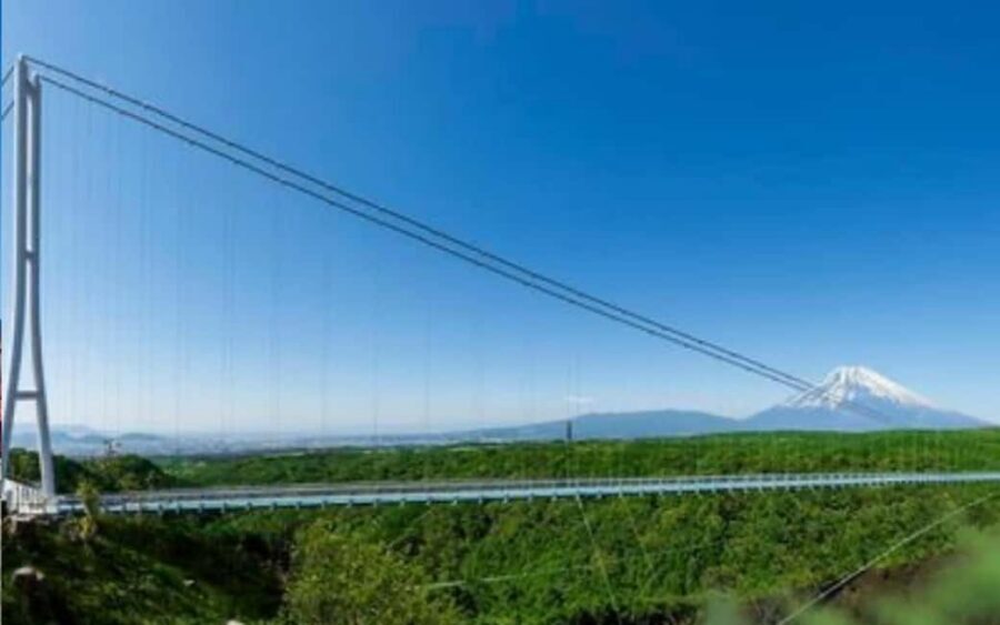 Tokyo:Customizable Private Day Trip to Mt.Fuji & Safari Park - The scenic drive past Lake Sagami: setting expectations early