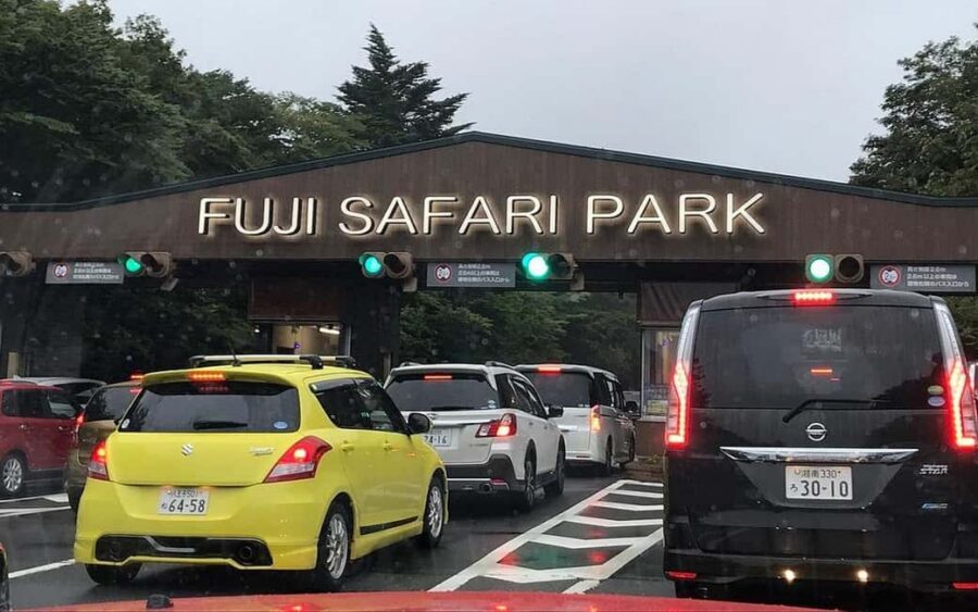 Tokyo:Customizable Private Day Trip to Mt.Fuji & Safari Park - Fuji Safari Park: the animal stop that doesn’t feel like a detour