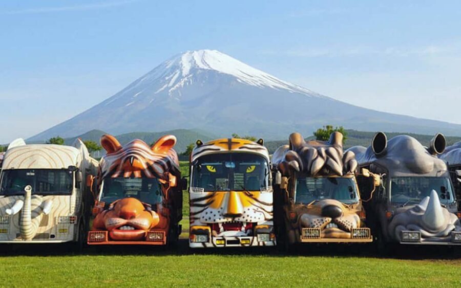 Tokyo:Customizable Private Day Trip to Mt.Fuji & Safari Park - The Fuji Five Lakes route: how to choose your favorite view